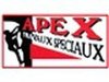 apex-travaux-speciaux