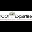 1001-expertise
