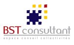 bst-consultant