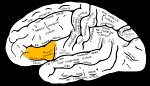 dr-dechaumont-palacin