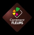 carrement-fleurs---fleuriste-montauban-albasud-82---livraison-de-fleurs-a-domicile