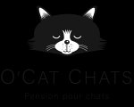 o-cat-chats