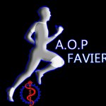 a-o-p-faviere-sarl