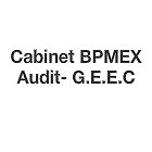 bpmex-audit