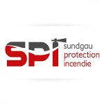 sundgau-protection-incendie---destruction-nids-de-guepes-et-frelons