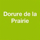 dorure-de-la-prairie