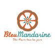 bleu-mandarine