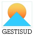 gestisud-immobilier-d-entreprise