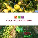 les-vergers-de-rioz