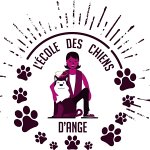 l-ecole-des-chiens-d-ange