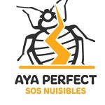 aya-perfect