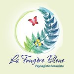 fougere-bleue-la