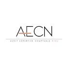 audit-expertise-comptable-ninu-aecn