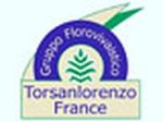 torsanlorenzo-france