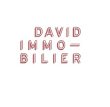david-immobilier