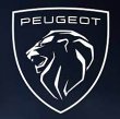 peugeot-garage-nicolle-agent