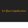 les-puces-lapalissoises