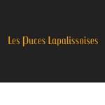 les-puces-lapalissoises