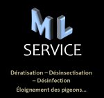 ml-service