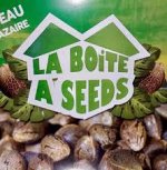 la-boite-a-seeds