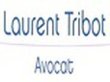 tribot-laurent---avocat