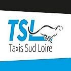 sarl-taxis-sud-loire