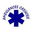 ambulances-taxis-caducee