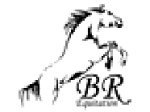 br-equitation