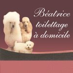 beatrice-toilettage-a-domicile