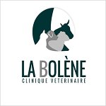 clinique-veterinaire-la-bolene-saint-bonnet-le-chateau