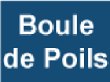 boule-de-poils