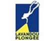 lavandou-plongee