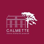 dps-france---centre-d-affaires-calmette