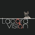 lagord-vision---optique