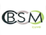 bsm-cuve