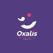 oxalis-experts-comptables