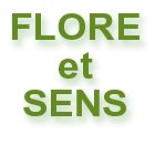 flor-et-sens