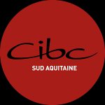 cibc-sud-aquitaine-saint-paul-les-dax