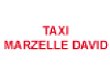 taxi-david-marzelle