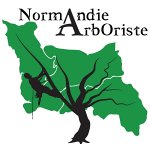 normandie-arboriste