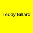 teddy-billard