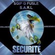 sgip-g-fusle-securite-privee