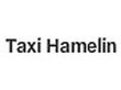 taxi-hamelin-patrice