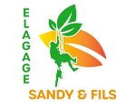 elagage-sandy-et-fils