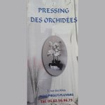 pressing-des-orchidees