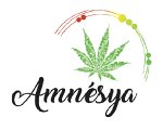 cbd-amnesya