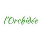 l-orchidee