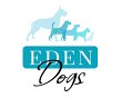 eden-dog