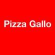 pizza-gallo