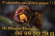 blondet-thomas-expert-nuisibles